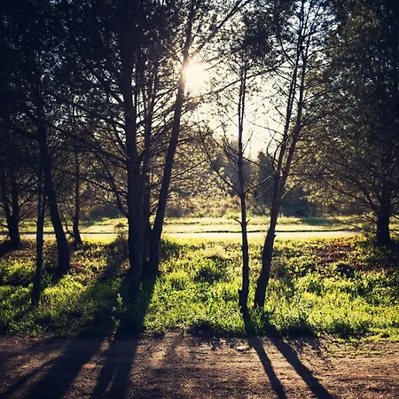 A Due Passi Dal Mare Апартаменты