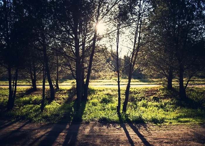 A Due Passi Dal Mare Appartement